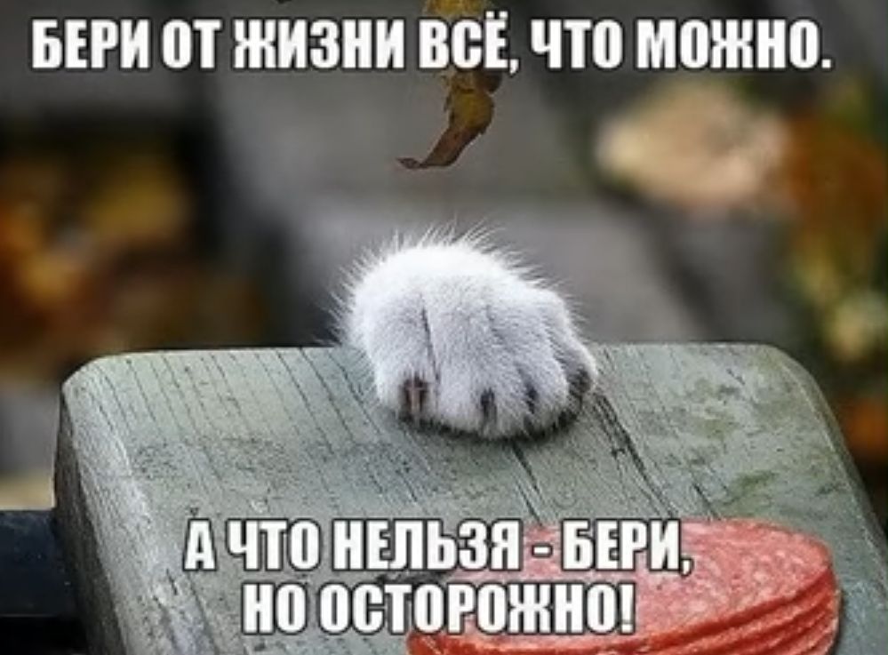 БЕРИ П ЖИЗНИ ВЁЁ что ШШШ БЖЖ