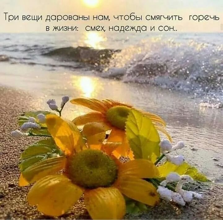 Тои вещи доровоны ном чтобы смягчить горечь в жизни смех нодгмдо и сон __ж