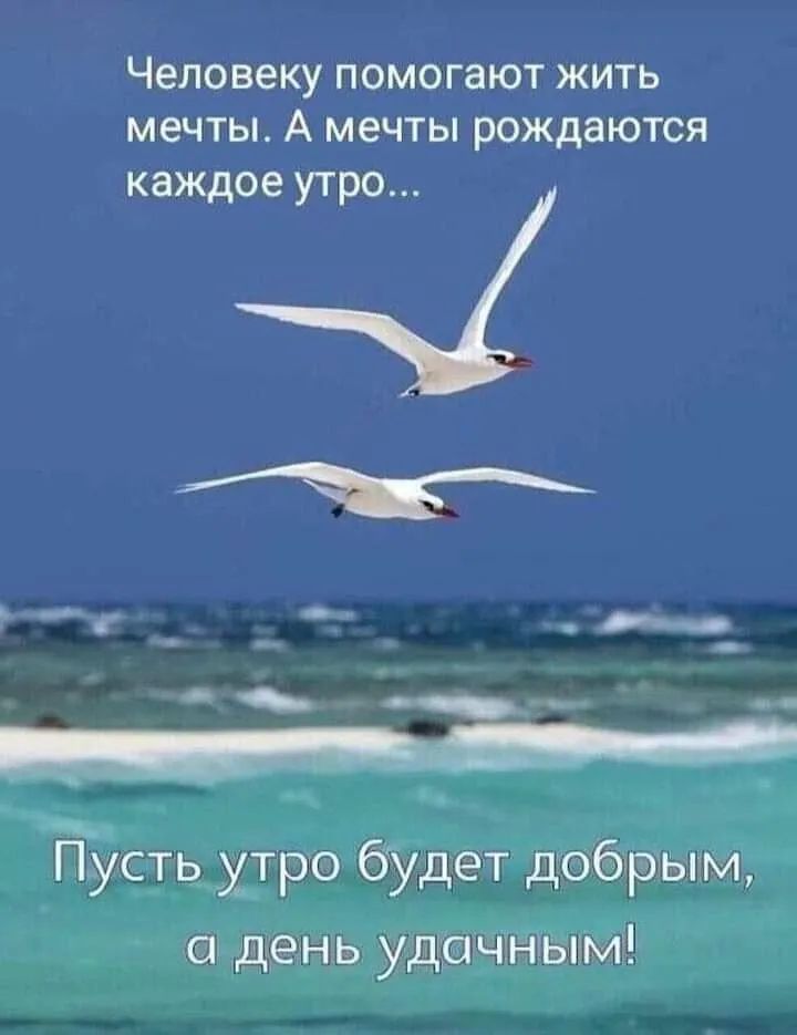 Человеку помогают жить мечты А мечты рождаются каждое утро ГТусть утро будет добрым день удачным