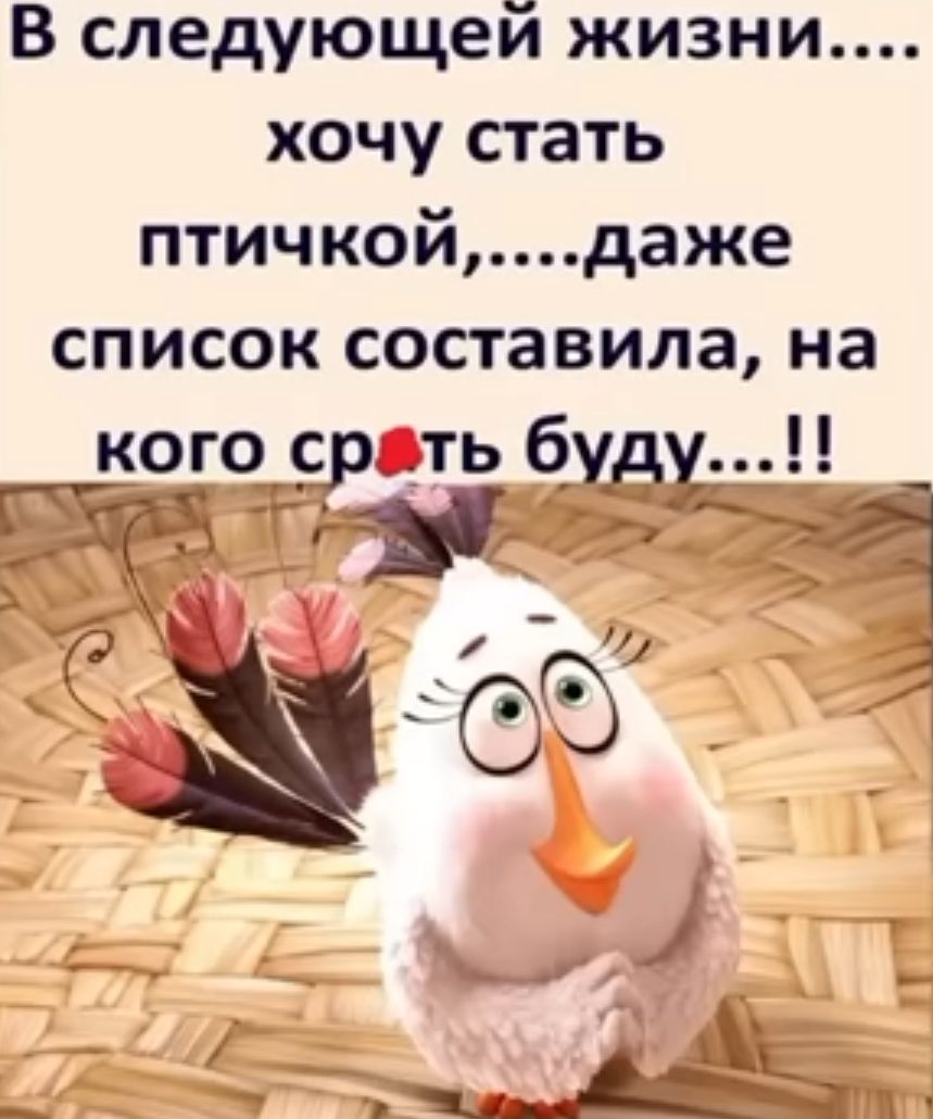 В следующей жизни хочу стать птичкойдаже список составила на кого_ ср ть будку