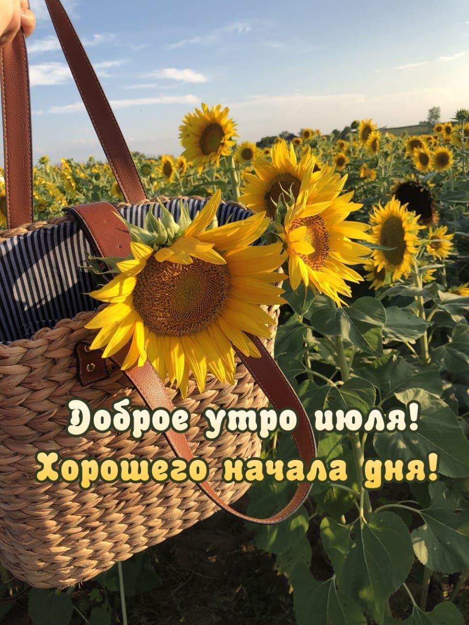 _ Пп 1