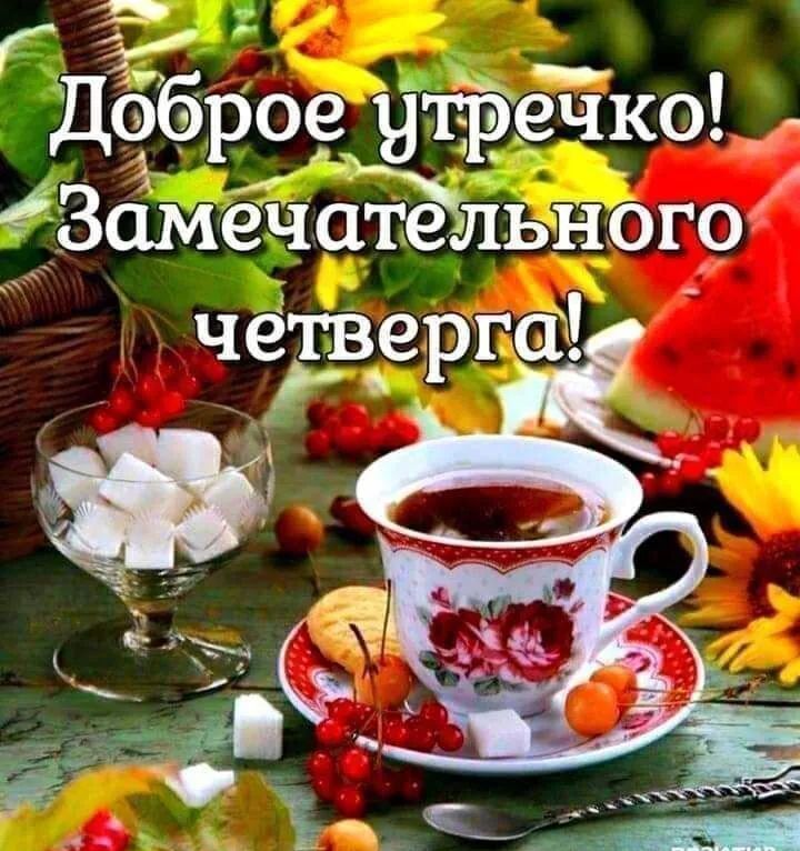 ГДбброе утречкод ЗамечсЁёльного