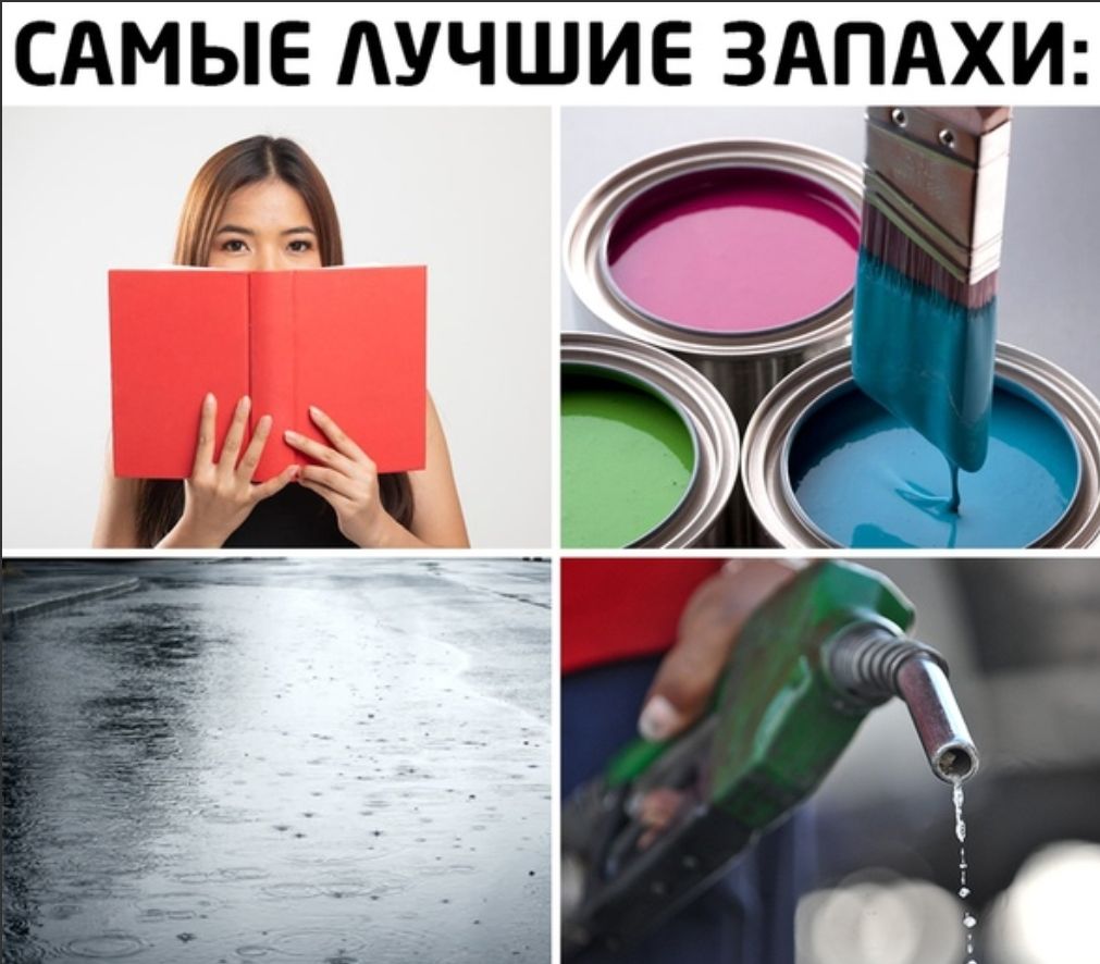 САМЫЕ АУЧШИЕ ЗАПАХИ