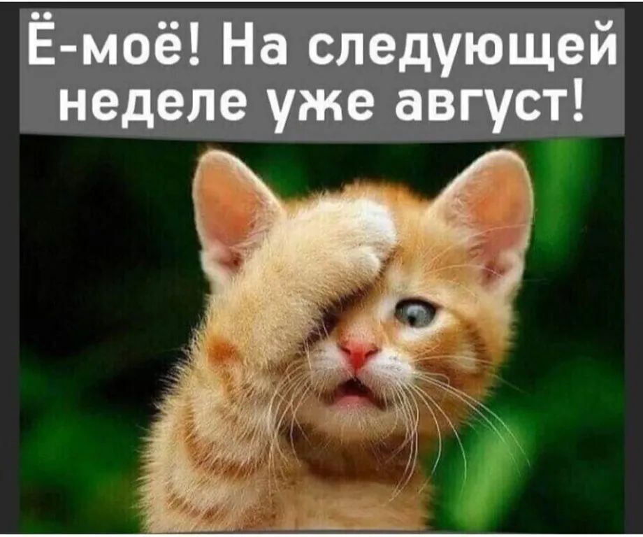 Ё моё На следующей неделе уже август