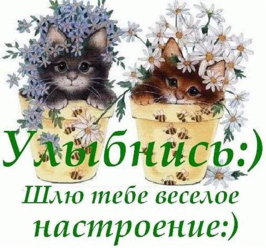 аз ыбнйсь в ШАЮ 171868 ВСССАОЬ настроение