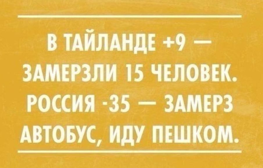 Миши шит 15 чиюш россия 45 шшз тош иду пешком