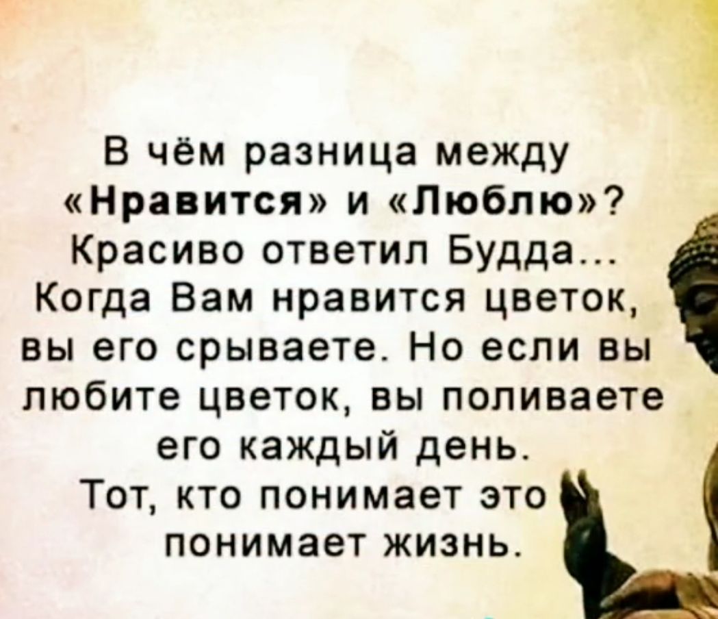 в чем разница между Нравится и Люблю Красиво ответил Будда Когда Вам нравится цветок вы его срываете Но если вы любите цветок вы поливаете его каждый день Тот кто понимает это понимает жизнь