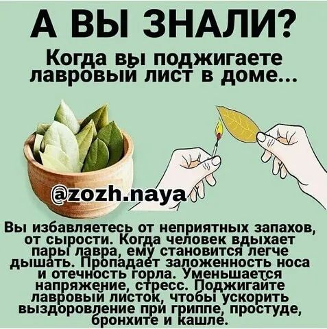 А ВЫ ЗНАЛИ Когда вы поджигаете павровыи лист в доме 101Ь паусЁё Вы избавляетескь от неп иятиых апакпв ОТ ВЫ ПВТИ КОГМ че овен вдыхает я а ем становится легче дыш ть пада т ожеииость носа И СТЕП ОСТЬ ГО па еиьшаетря ИЗПЁПЖЧИДП С 200 оджигаите З ОВЫИ писто ЧТО Ы ускорить Ргв гигъъттде