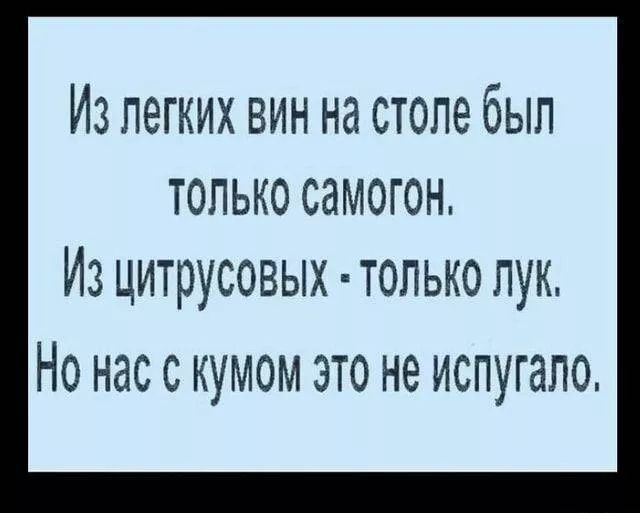 Из легких вин на столе был только самогон Из цитрусовых только пук Но нас с кумом это не испугапо