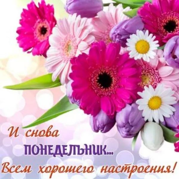 понщлъншьм шмшш Ц