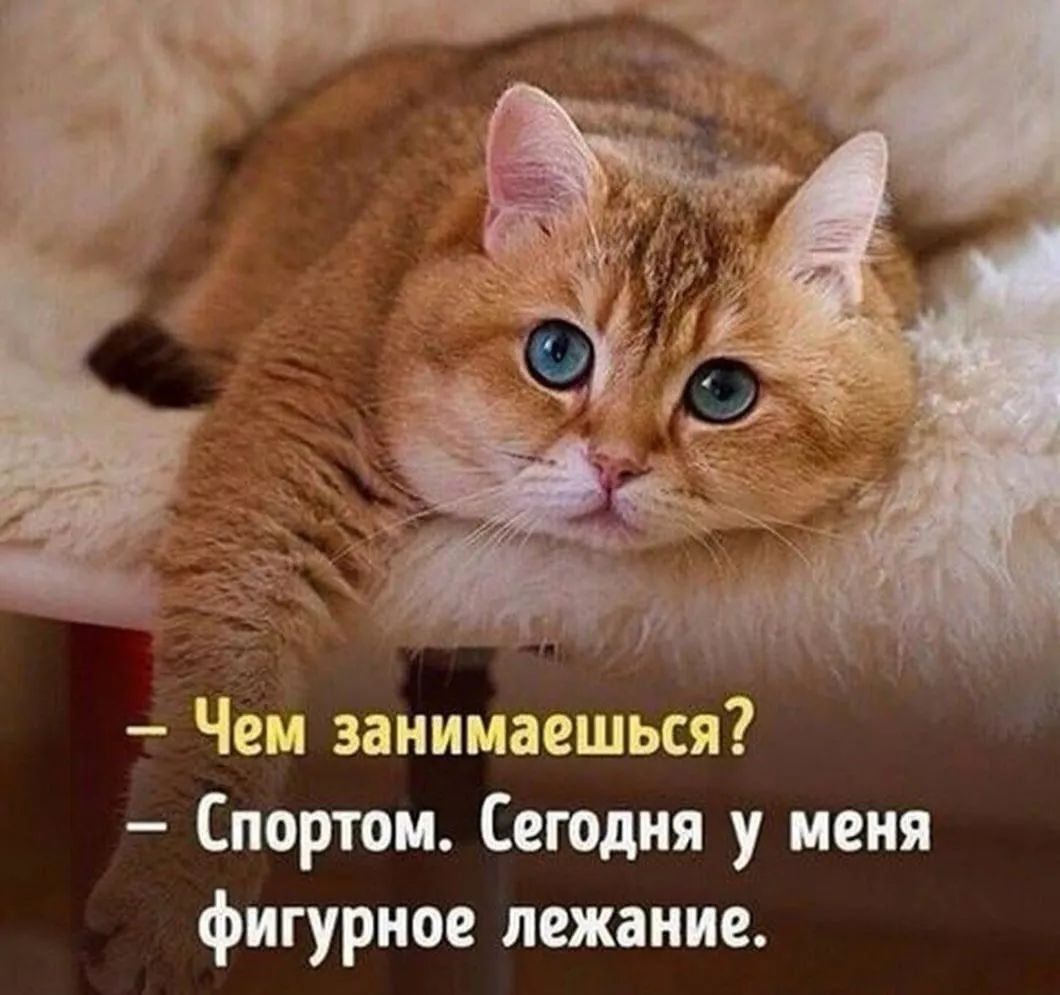 Чен занимаешься Спортом Сегодня у меня фигурное лежание