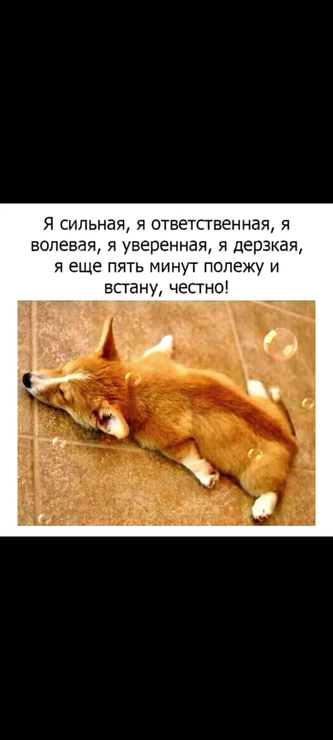Я сильная я ответственная я волевая я уверенная я дерзкая я еще пять минут полежу и встану честно