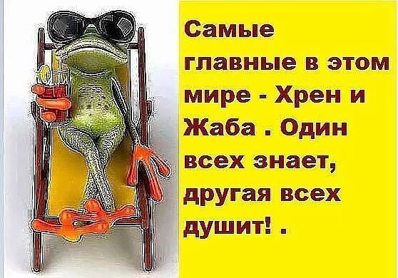 Самые главные в этом мире Хрен и _ Жаба Один всех знает другая всех душит