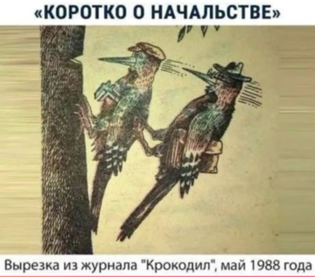 КОРОТКО О НАЧАЛЬСТВЕ __ Вираже из журнала Крокодил май 1988 года