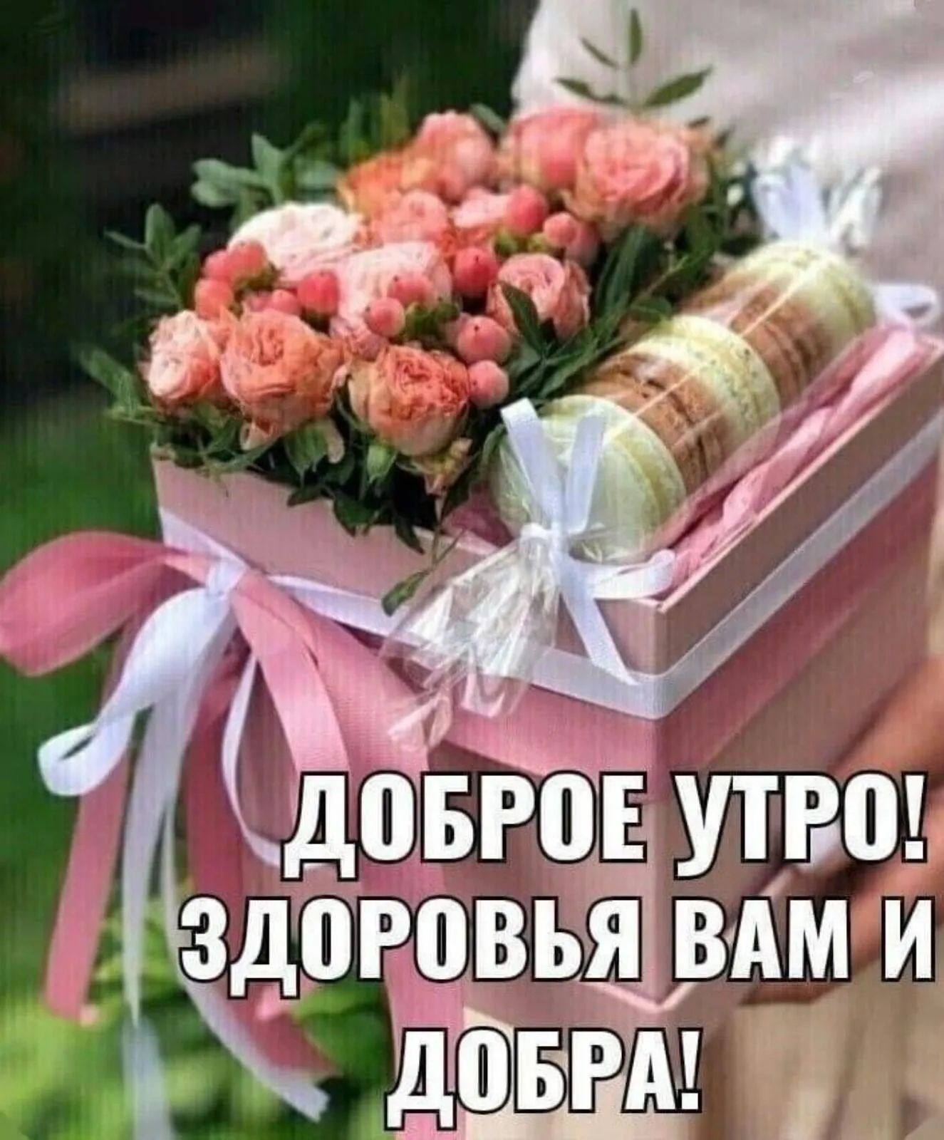 дВВЮЁ 1 здоровья