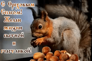 Элузии Й ДУХ