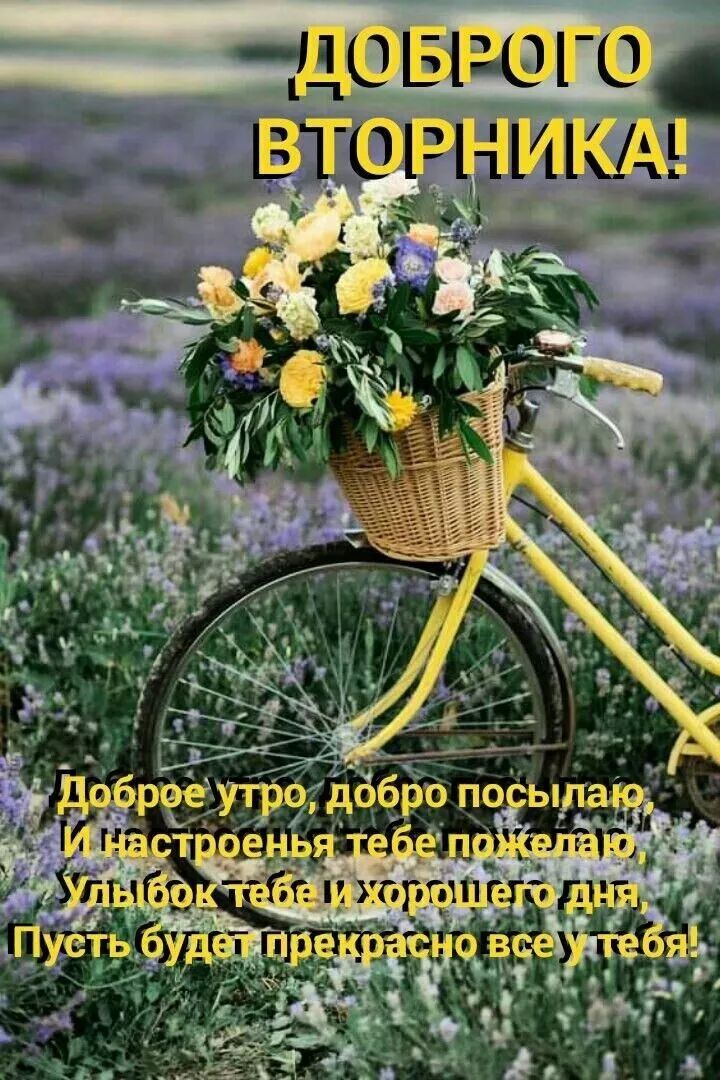 __НОЦ ОГ О