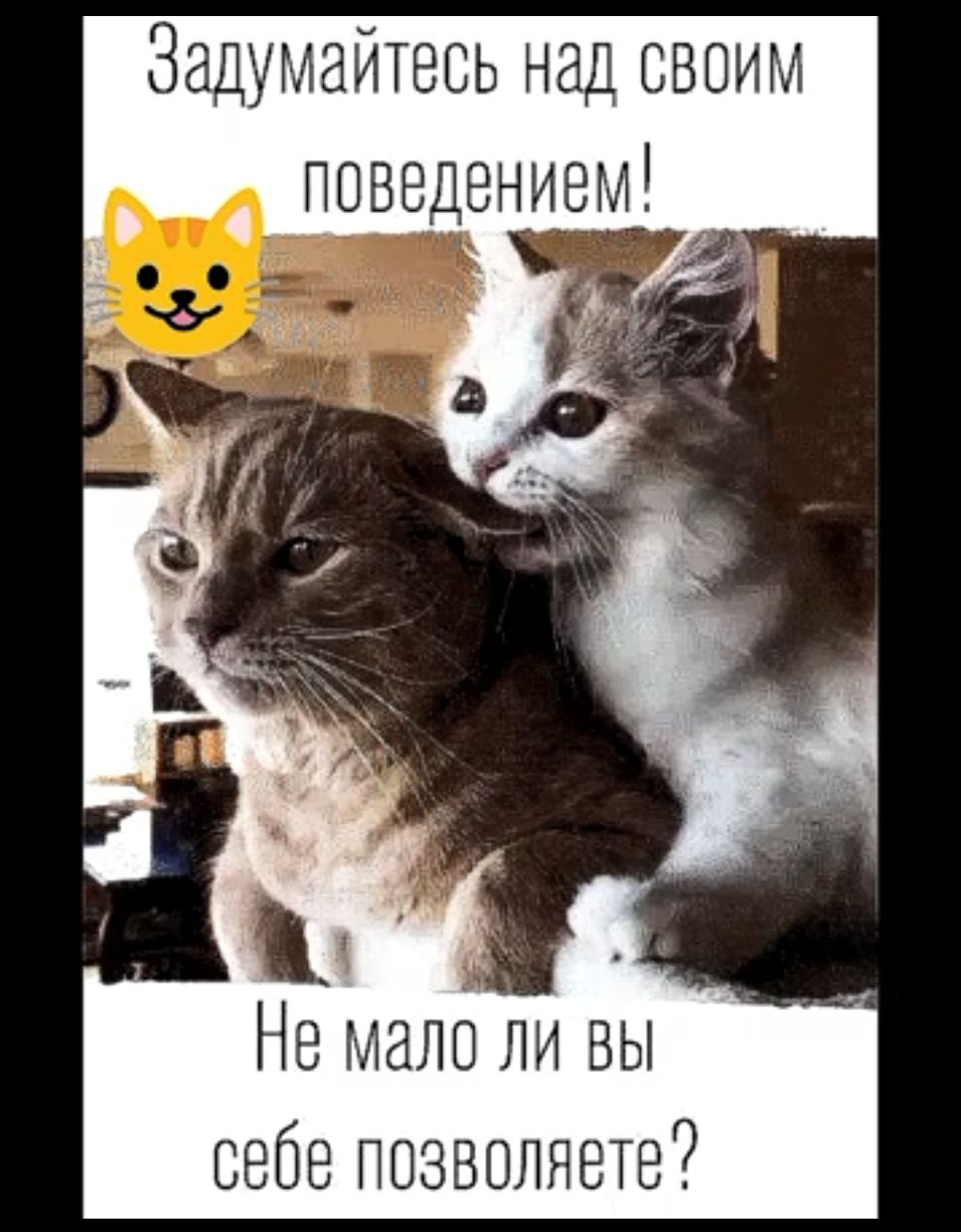 Задумайтесь над своим поведением Не мало ли вы себе позволяете