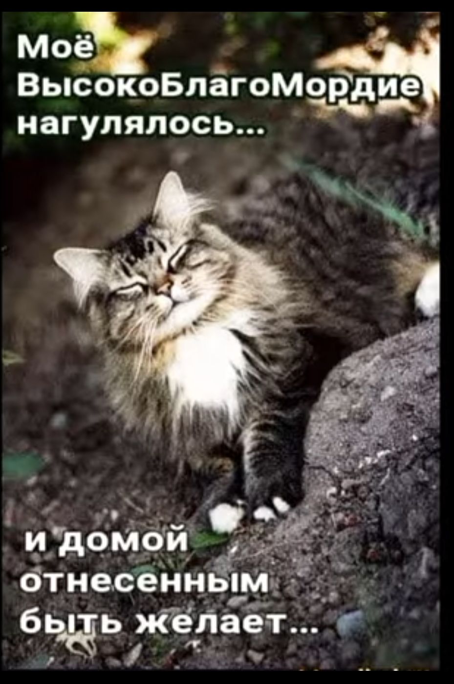 моё ВысокоБлёгоМордие и нагулялось отнесённёгп _ __ 6 ь жепае т __