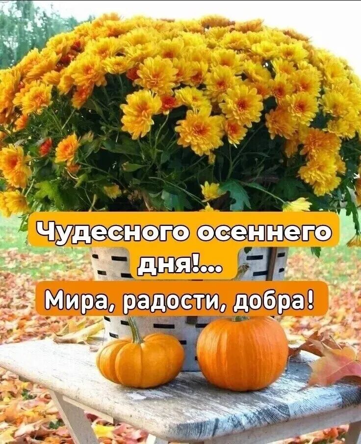 чтитсинего пт ВОт 09