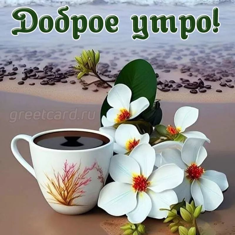 Эоброе цтроі