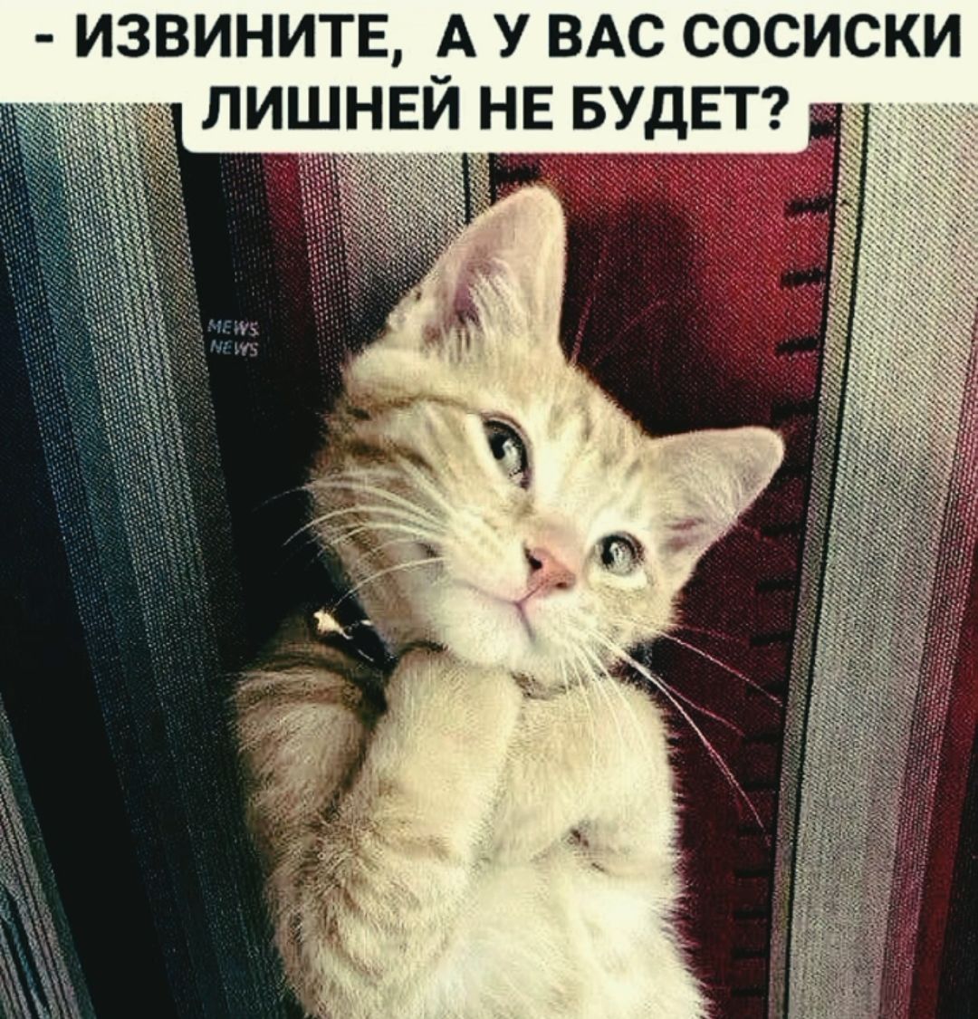 ИЗВИНИТЕ А У ВАС СОСИСКИ ЛИШНЕЙ НЕ БУДЕТ