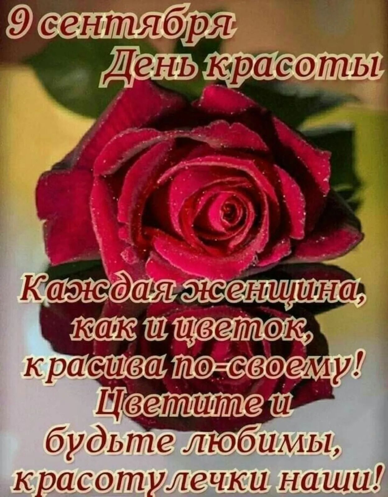 277 Я женщина шпиц ветак будьте любимы оасот лечки нашц