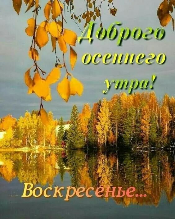 і бриг _ __ ш шиего _ 11110 Ё а