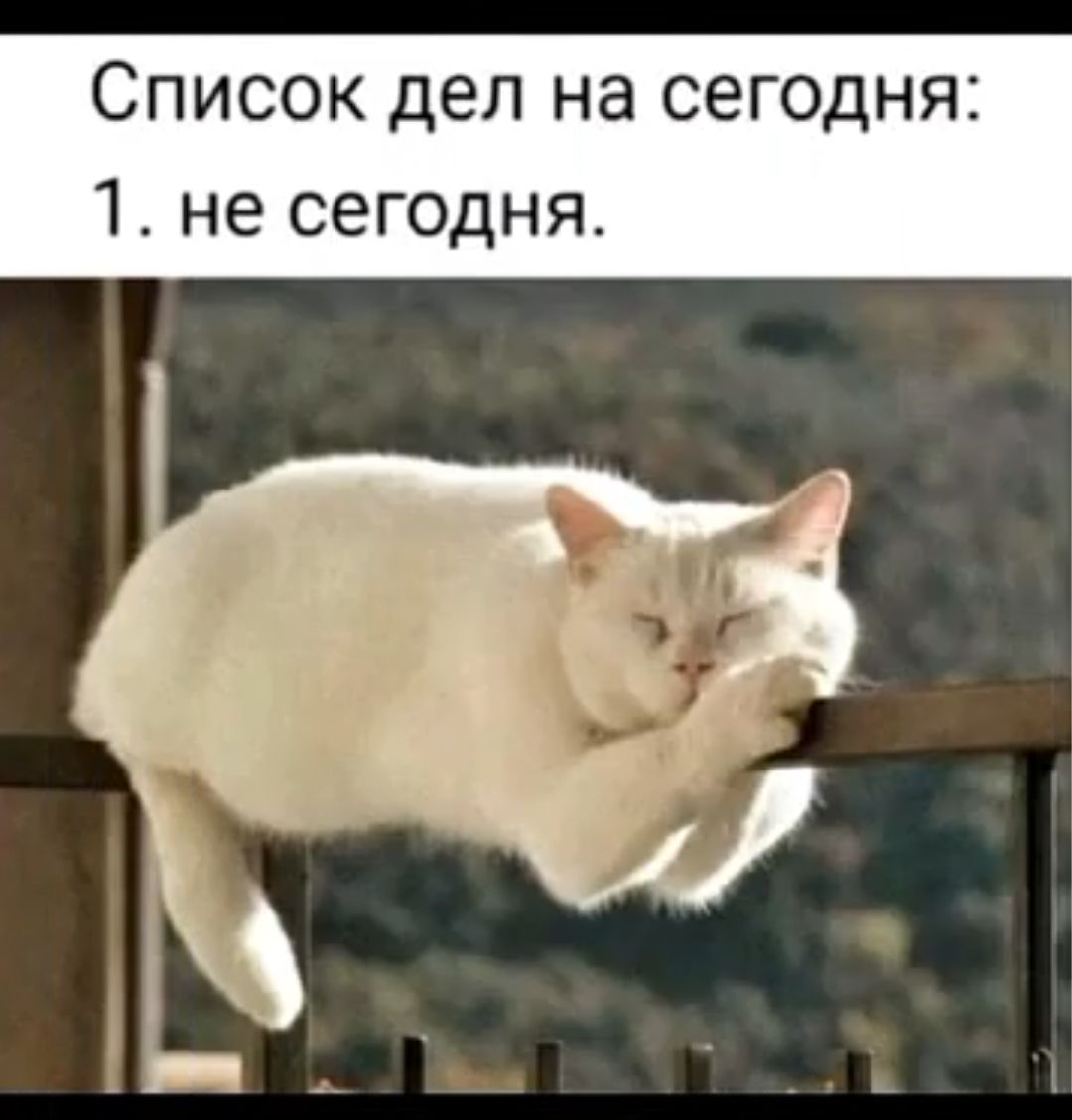Список дел на сегодня 1 не сегодня