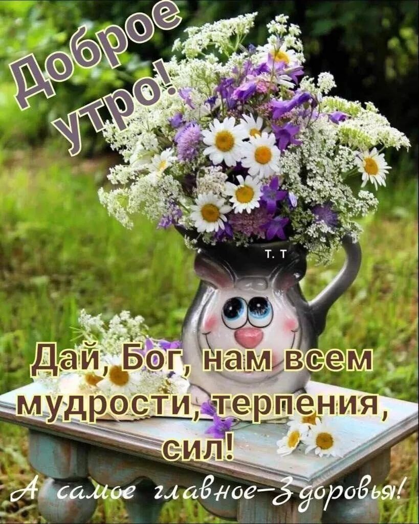 і А мудвдэст _ Т_ ЁШе__Н ИЯ еил