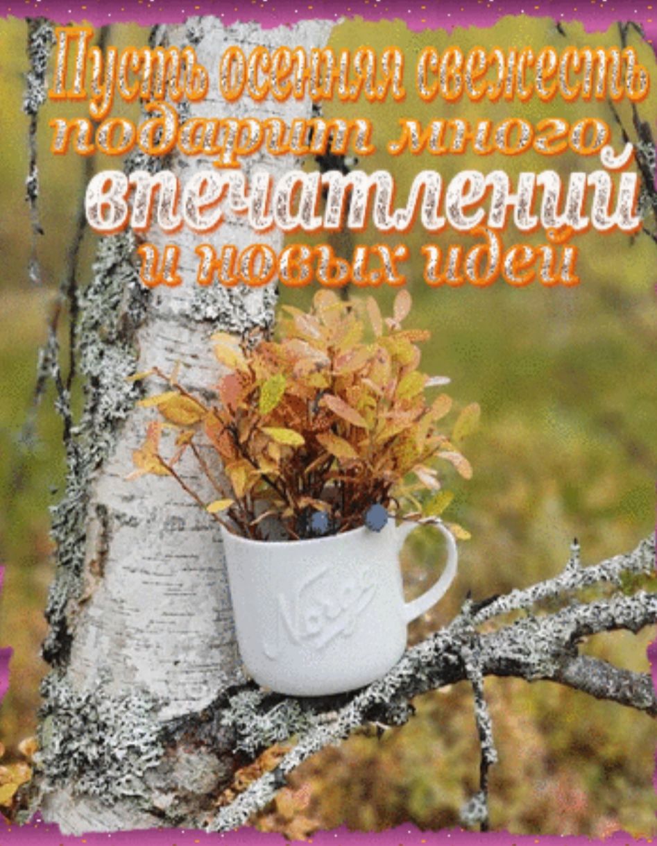 ЁЁ_пг5т ЧПНДП