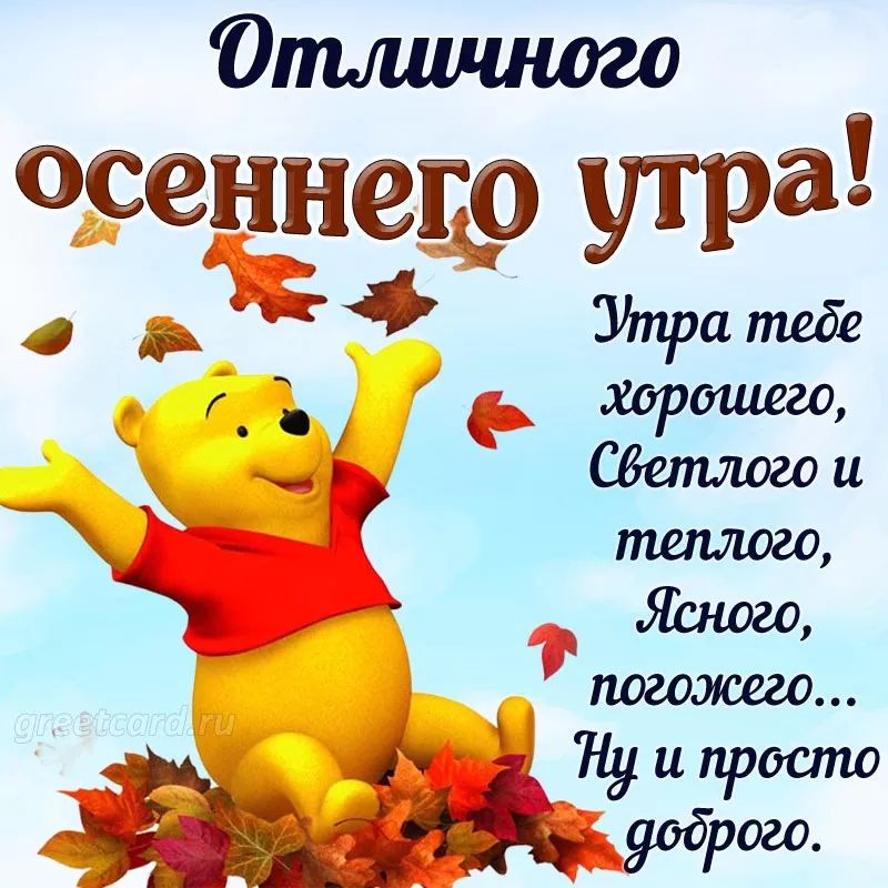Отишшо осеннего утра 3 Утра тебе _ харвшего Сдетлоаои іх теплого Ясного негоже Ну и просто Ёжик 1