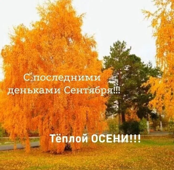 Сіпоспедними мнькэип Сант