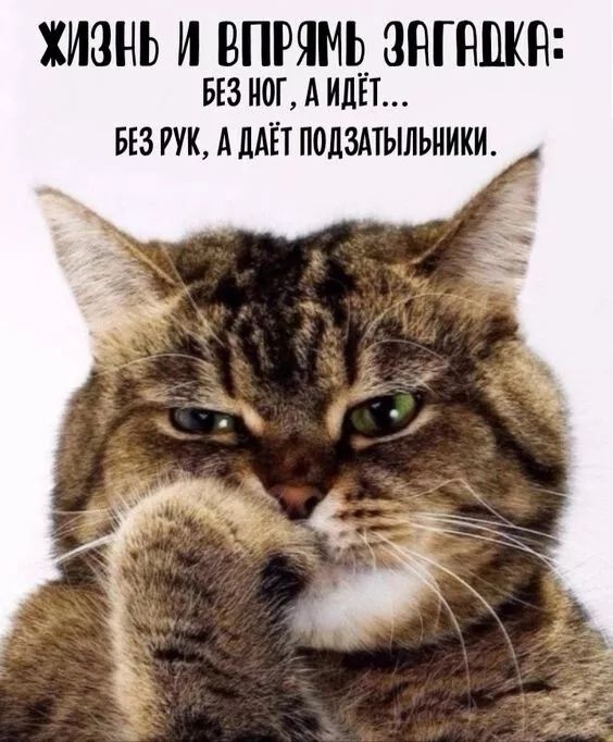 ЖИЗНЬ И ВПРЯМЬ ЗППШКН БЕЗ НОГ А ИЛЁТ БЕЗ РУК АЛАЁТ ПОДЗМЫЛЬИИКИ