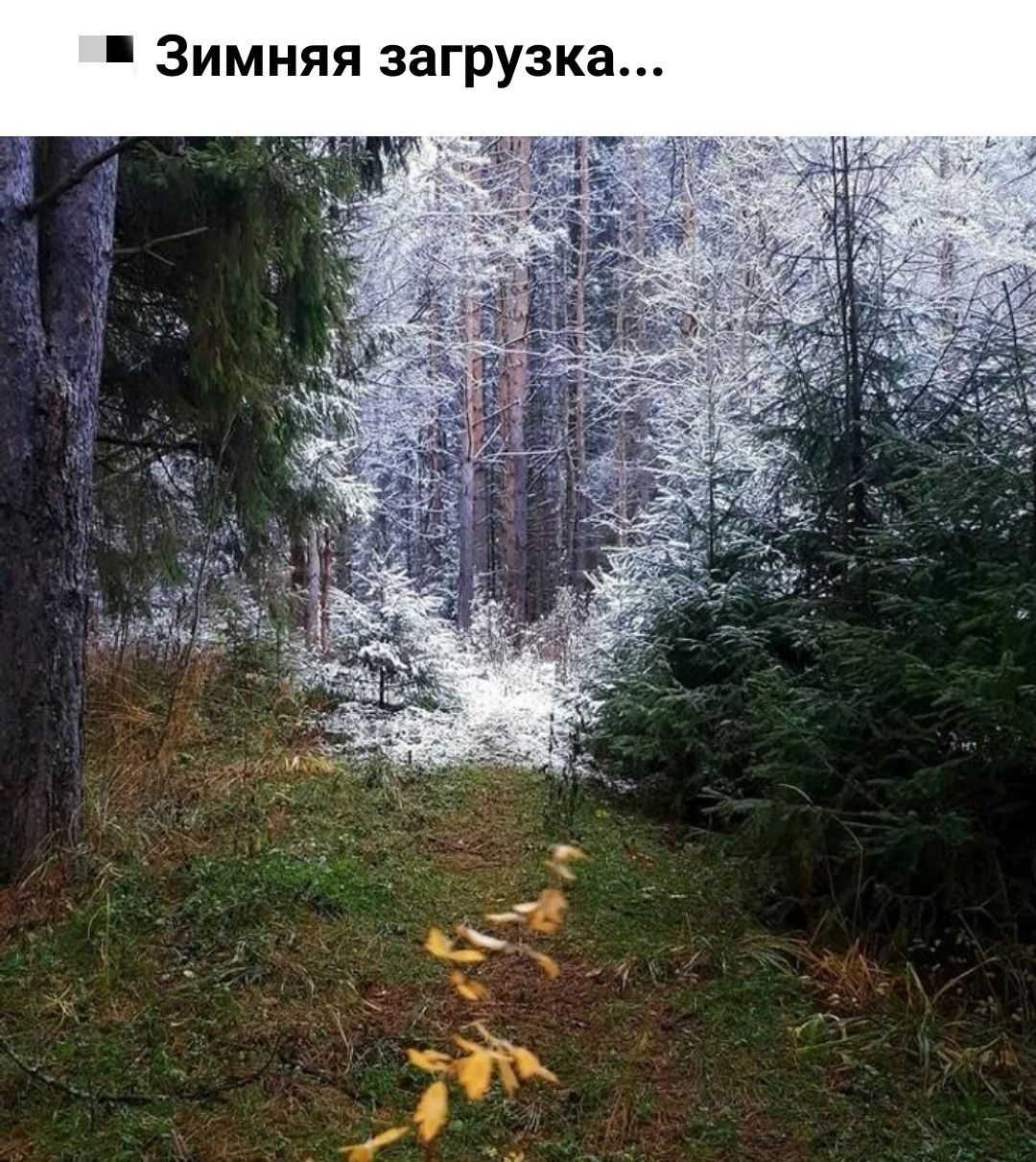 Зимняя загрузка