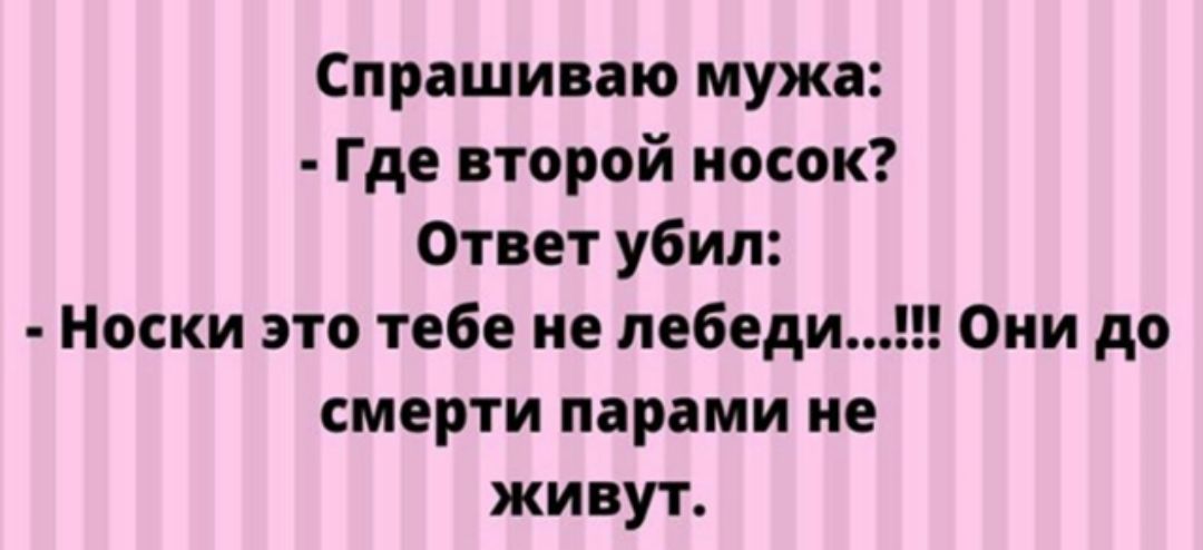 Спрашиваю мужа Где второй носок Ответ убил Носки это тебе не лебеди смерти парами не живут Оки до