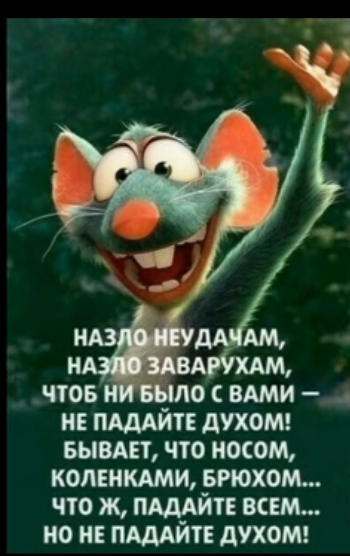 и ПАДАЙТЕ духоМ выедет что носом комнкдми врюхом что ж пдддйтв всем но не пишите духош