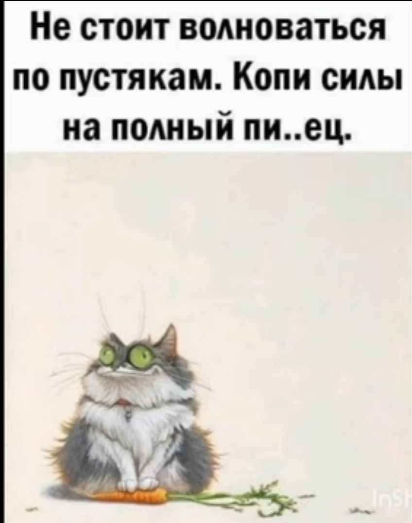 Не стоит волноваться по пустякам Копи силы на подиый пиец _