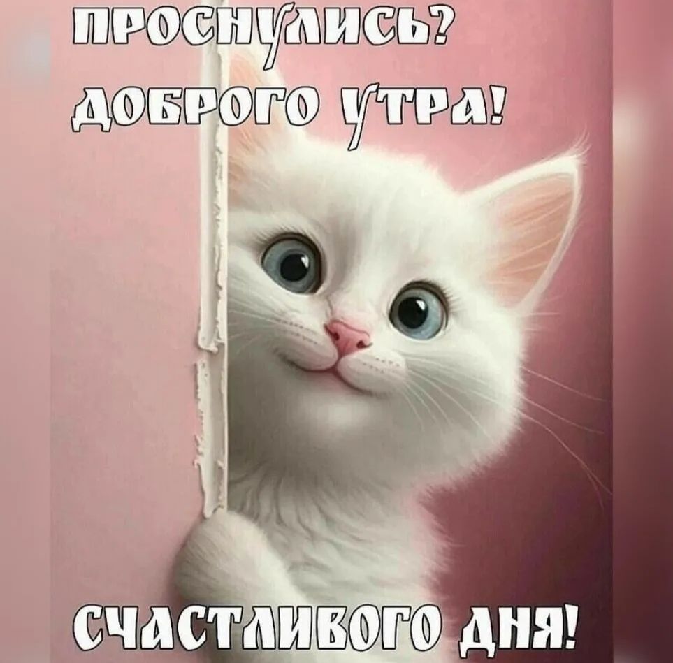 ШЧЁЮЩЁШЁ Буй