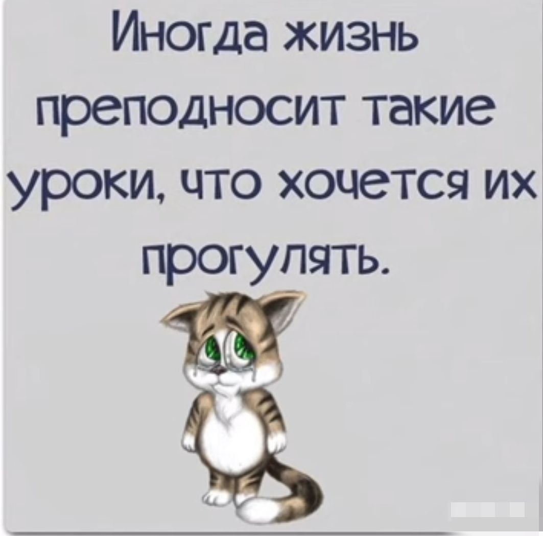 Иногда жизнь преподносит такие уроки что хочется их прогулять 9