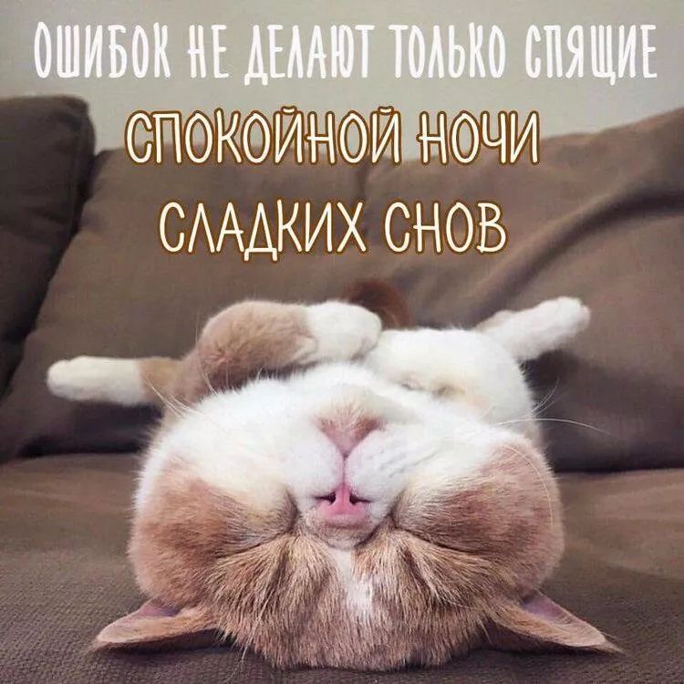 ПКИН ИН Ч И САААКИХ СНОВ