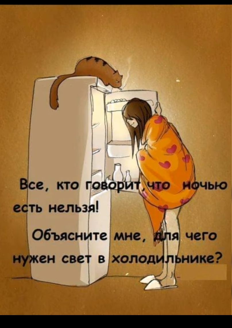 А Цсе кто говдриічто ифчью есть нельзя Объясните мне для чего нужен свет вхолод пьнике __ _ ЁЁі