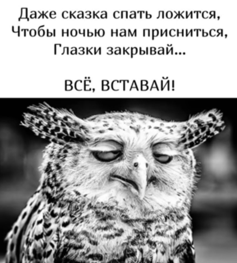 Даже сказка спать ложится Чтобы ночью нам присниться Глазки закрывай всЁ ВСТАВАЙ