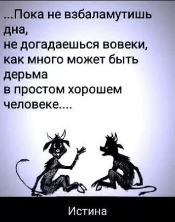 Пока не взбаламутишь дна не догадаешься вовеки как много может быть дерьма в простом хорошем человеке С