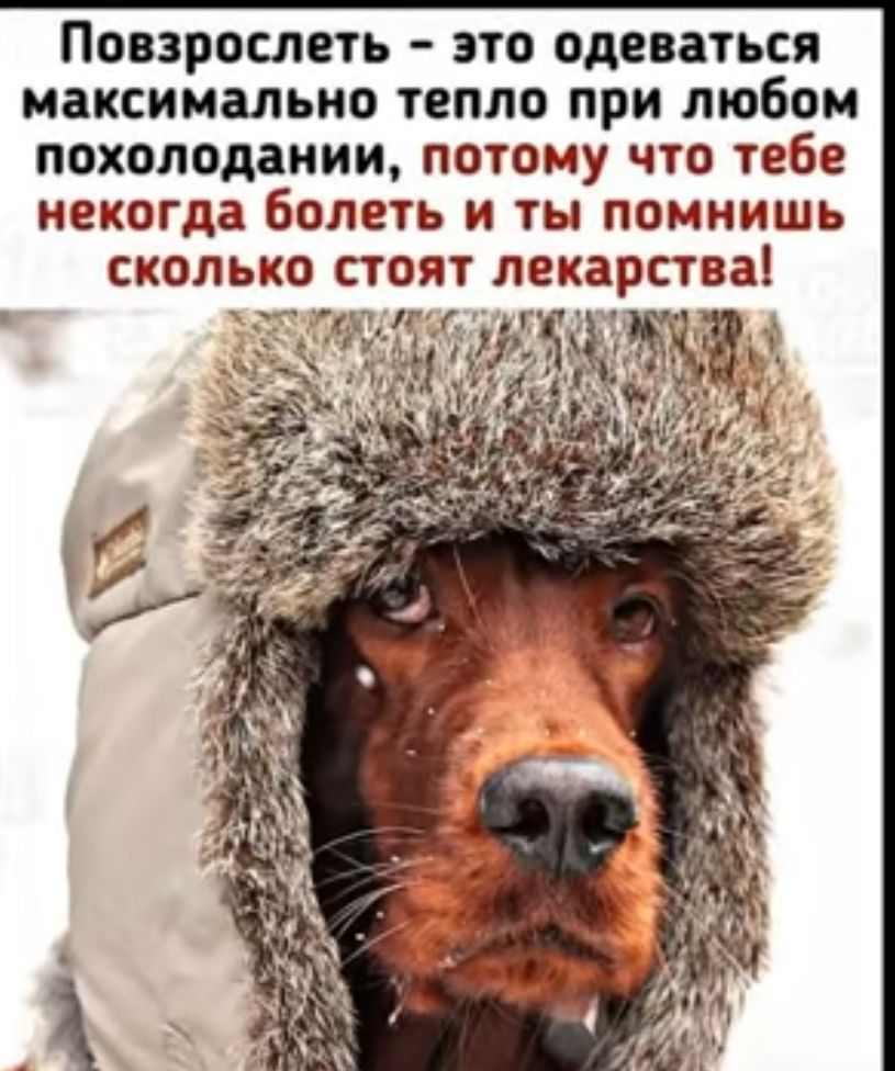 Поозрослвть это одеваться максимально тепло при любом похолодании потому что тебе некогда болеть и ты помнишь сколько стоят лекарства