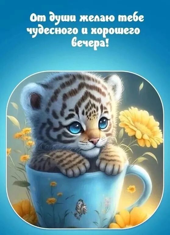 от души ишшо тебе чудесного и хорошего Мч