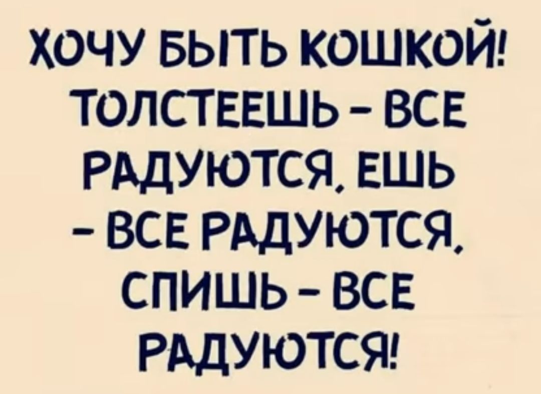 хочу выть кошкой толстввшь всв РАДУЮТСЯ ЕШЬ все РАДУЮТСЯ спишь все РАДУЮТСЯ