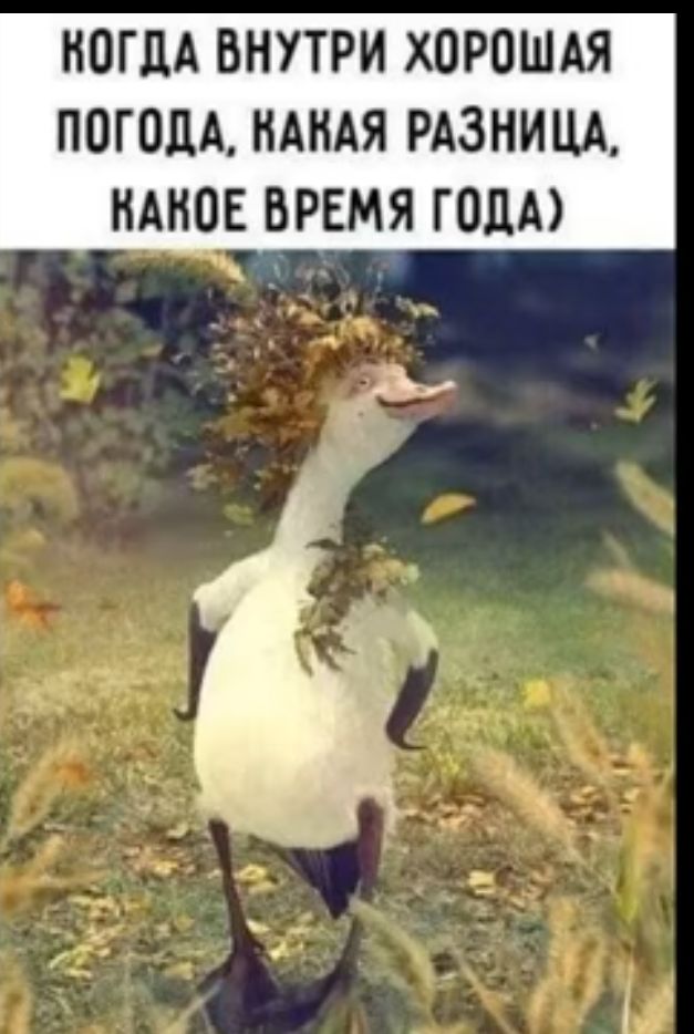НОГЦА ВНУТРИ ХОРОШАЯ ПОГОЦА НАНАЯ РАЗНИЦА НАНОЕ ВРЕМЯ ГОДА