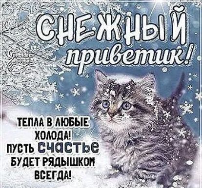 химию ходод пусть щастье Будет Рялышкон ВБЕГДА