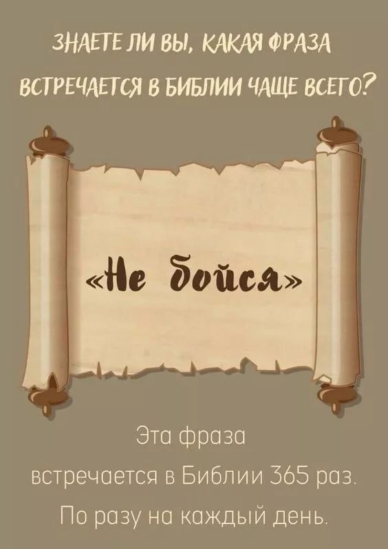 ЗНАЕТ Е ЛИ ВЫ КАКАЯ ФРАЗА ВСТРЕЧАПСЯ В БИБПИИ ЧАЩЕ ВСЕГО Не Бойся Эта фраза встречается в Библии 365 раз По розу но каждый день